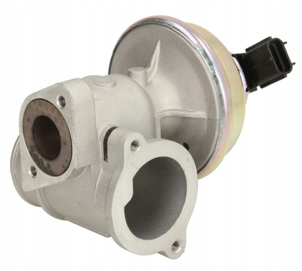 ed121e5e38899a8c89209de416c4a989