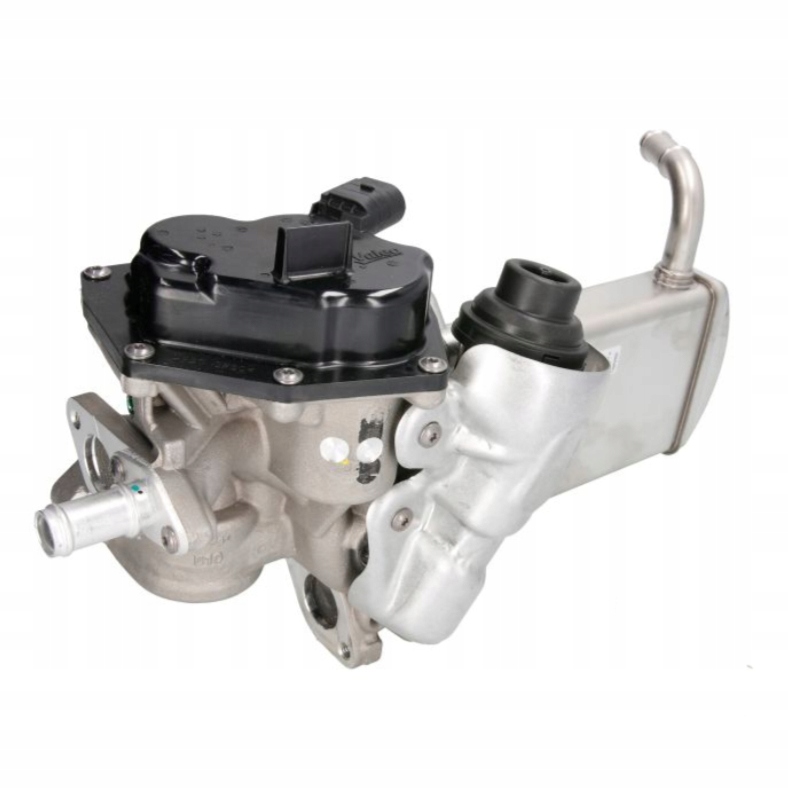 ef2e74ea59423c01f97907e1fe23fde9