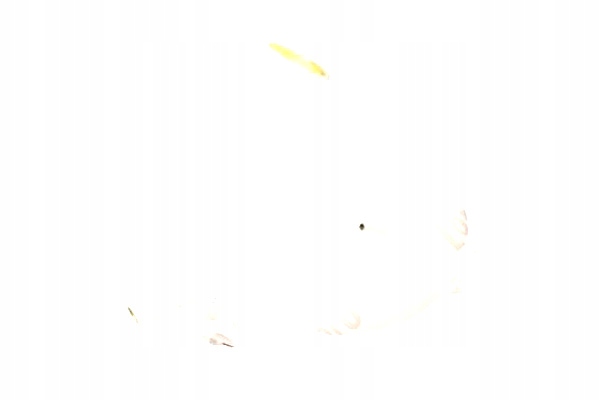 64fd71b009821505a16f626e837a68a4