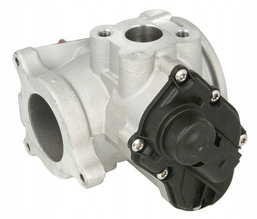 7ea65479d8bf9cf9424463e9d1581779