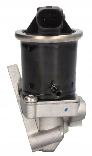 2429c1e90838a6494da2f4c83dead0dd