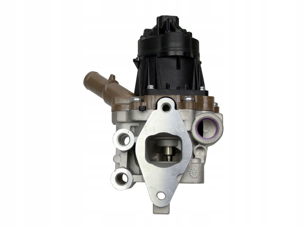 35e866a8ad74cac6d45e2e719f7c049a