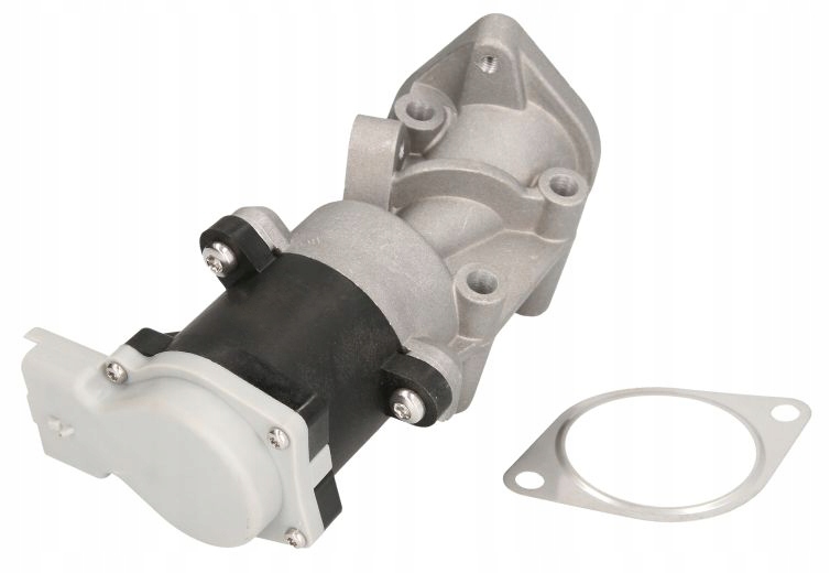 019d92194d80958c72f7037c8c433e2e