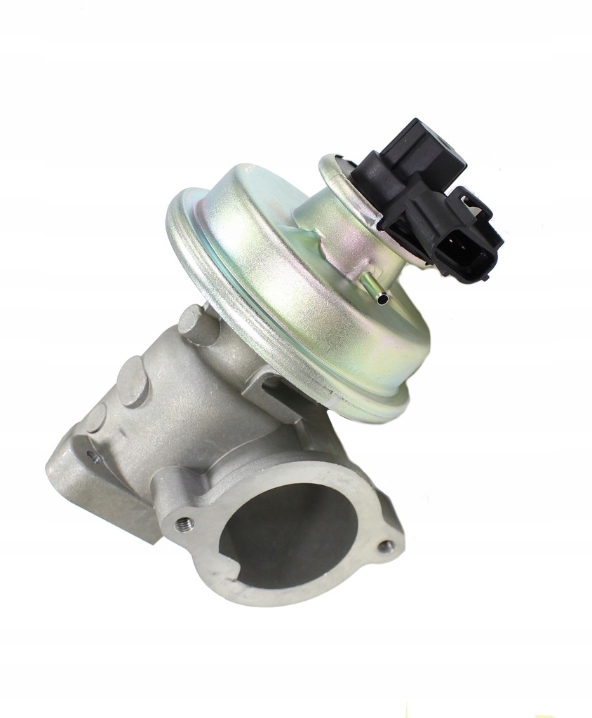 577603f05bcf2ef044310472029b78c4