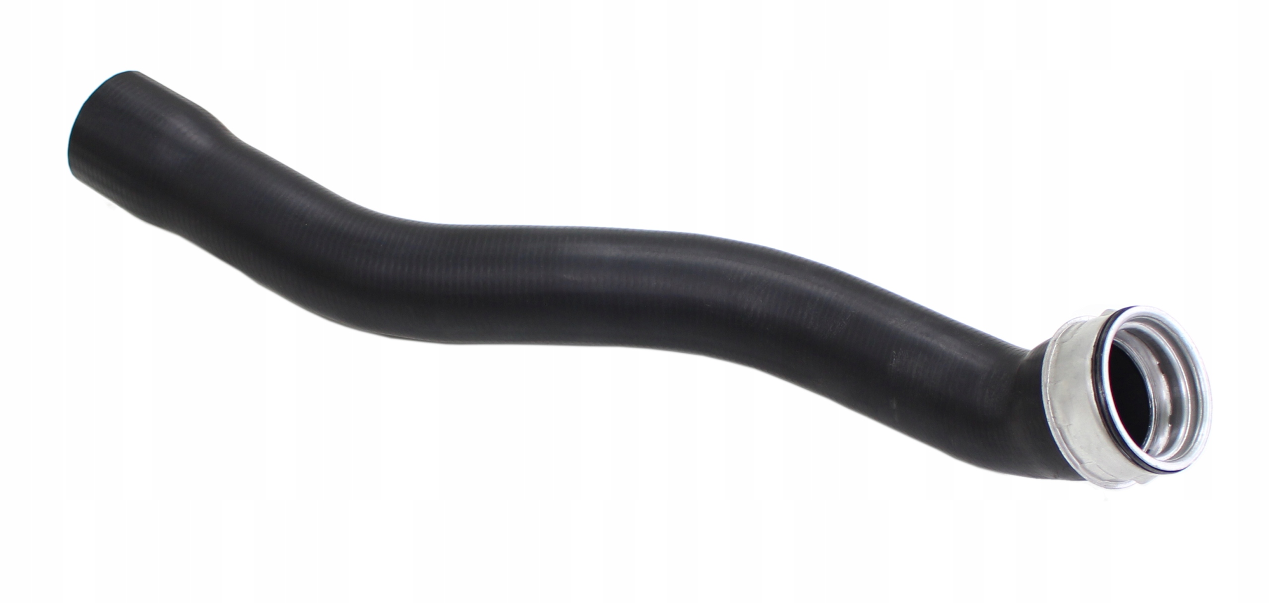 4aab248e7e58c4202ccbdc8fd95a5815