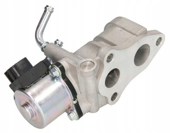 556e1a67fc4356bfe1d79ece9519fb4b