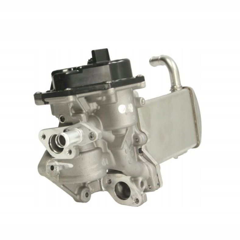 858a0a9efebb36270adcc9ecb4a9cddd