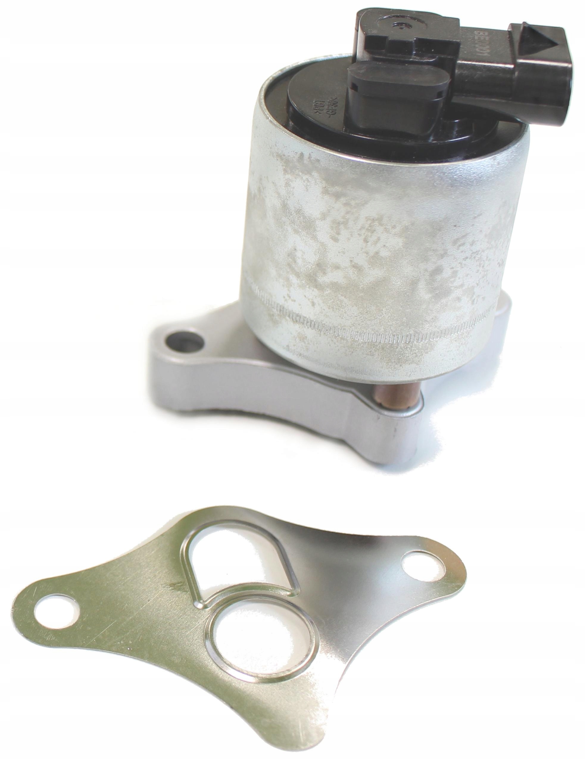 8caee1fba1e364ebc6e88681f951442f