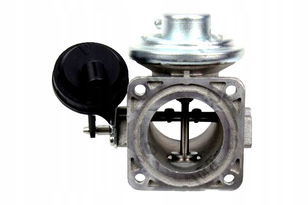 48290536e669ffd17dddf861db01c653